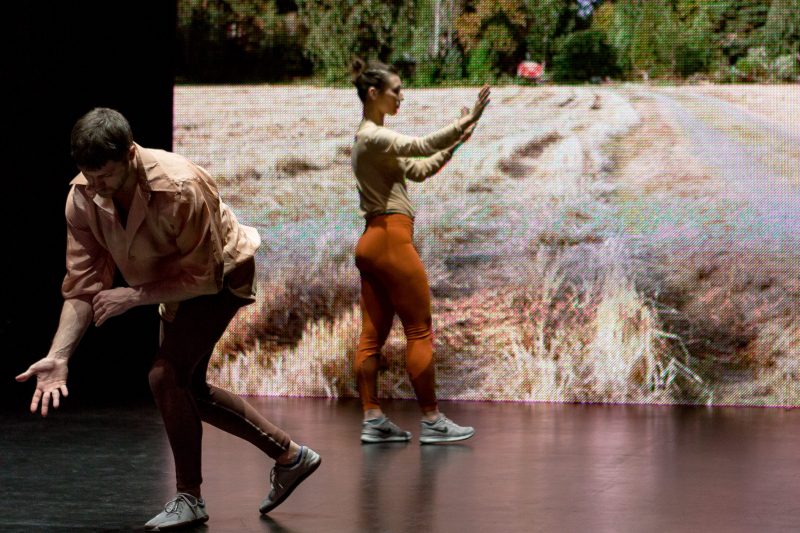 Vuoden Teatteri valikoitui tällä kertaa tanssipuolelta: ”Rohkea ja ennakkoluuloton edelläkävijä”